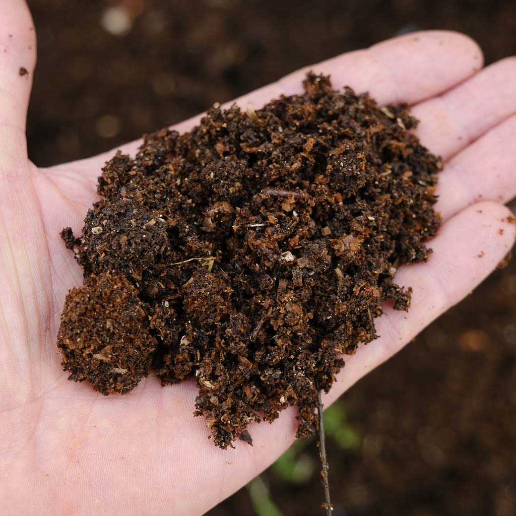 Worms in compost made at Like Butter from our sawdust