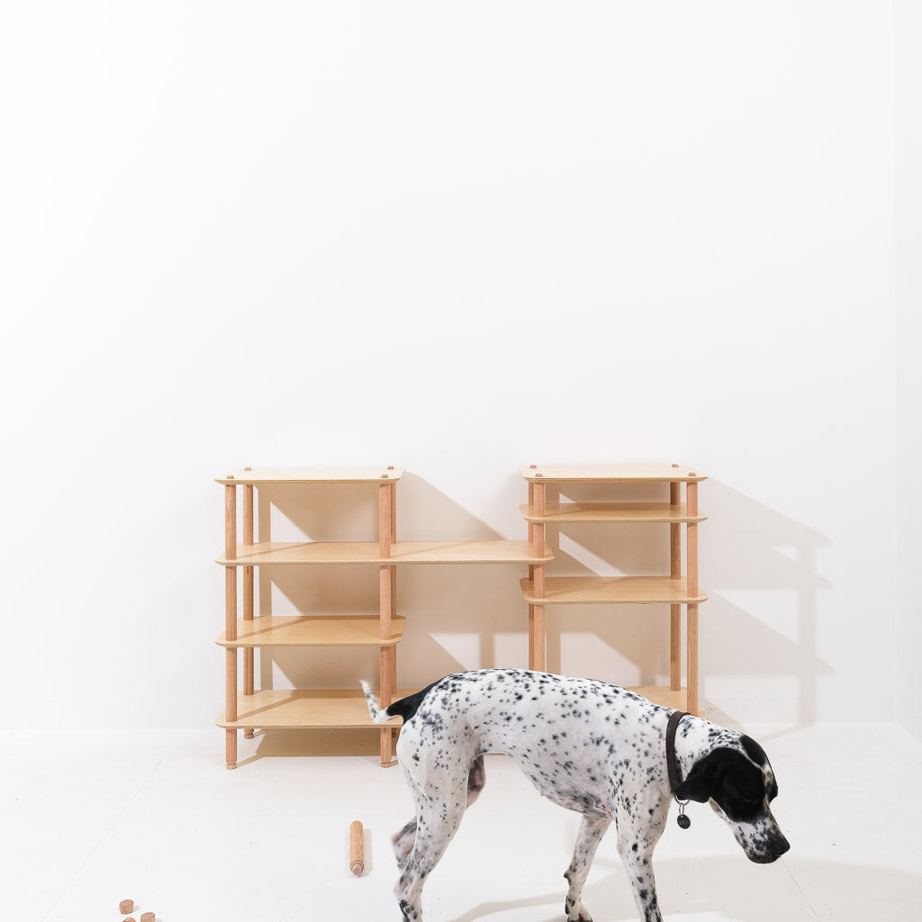 KittaParts serving suggestion with Birdy