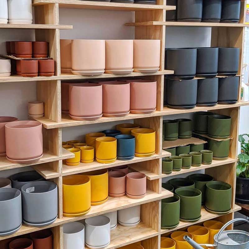 Retail fitout featuring The Shelves